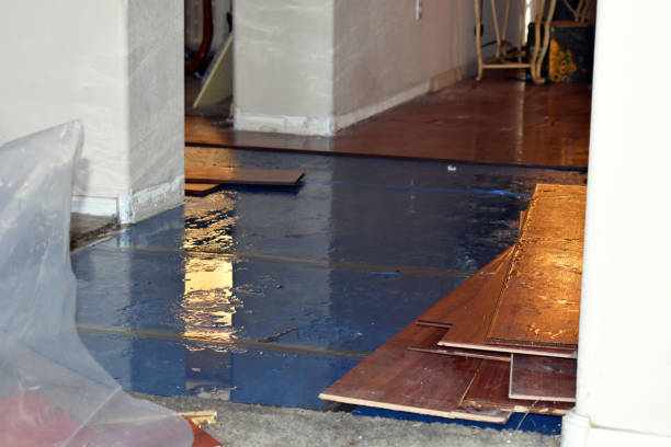 Professional Basement Water Removal technician working in Asbury, NJ